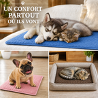 Tapis Rafraîchissant pour chat et chien