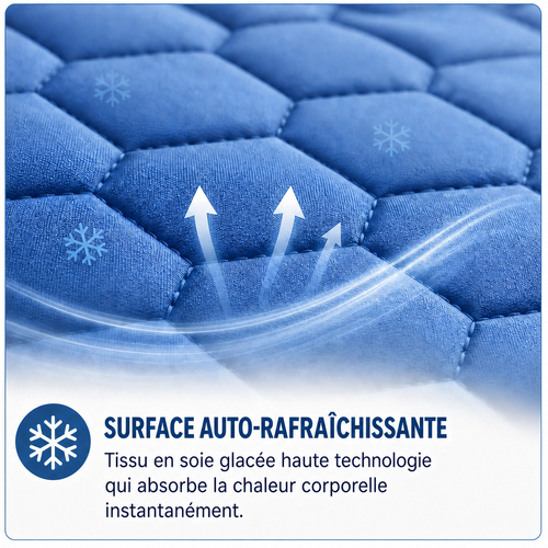 Tapis Rafraîchissant pour chat et chien