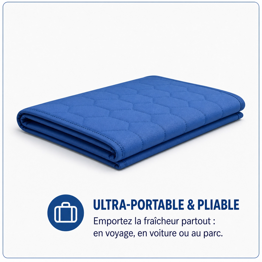 Tapis Rafraîchissant pour chat et chien