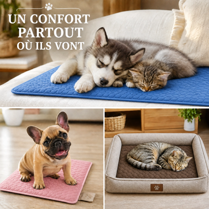 Tapis Rafraîchissant pour chat et chien
