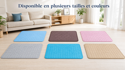 Tapis Rafraîchissant pour chat et chien