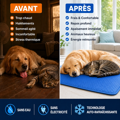 Tapis Rafraîchissant pour chat et chien
