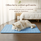 Tapis Rafraîchissant pour chat et chien